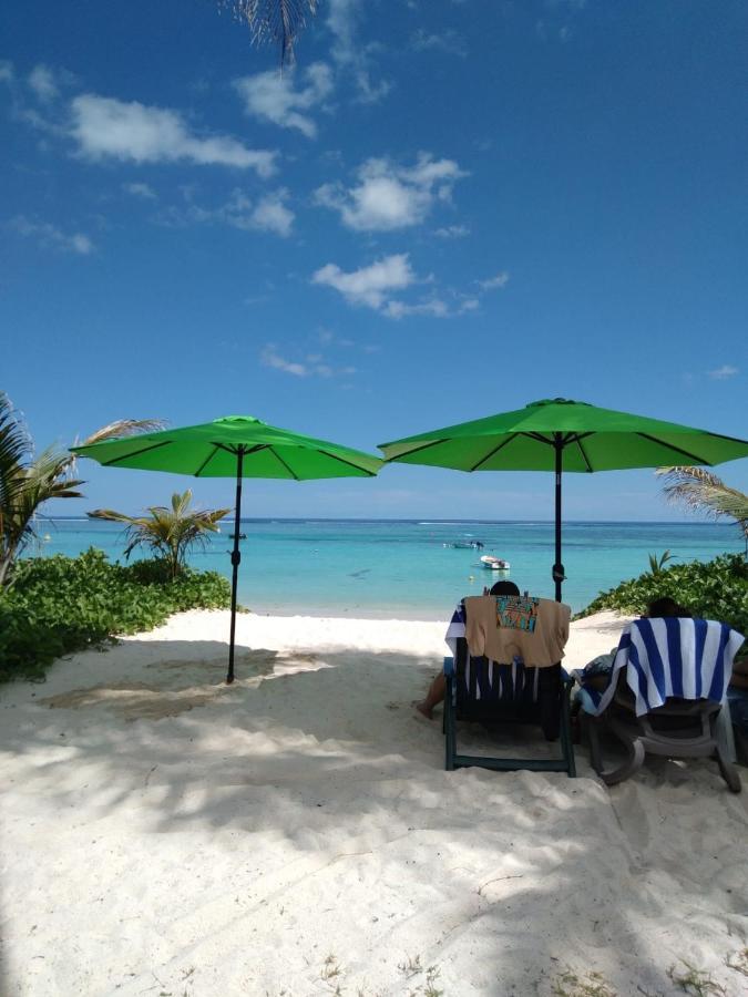 Shanaz Beachside Retreat Anse Royale Exterior photo