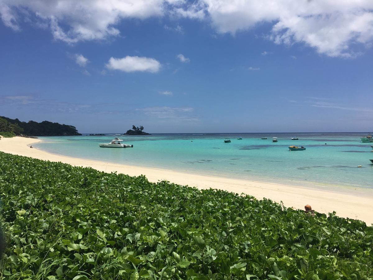 Shanaz Beachside Retreat Anse Royale Exterior photo