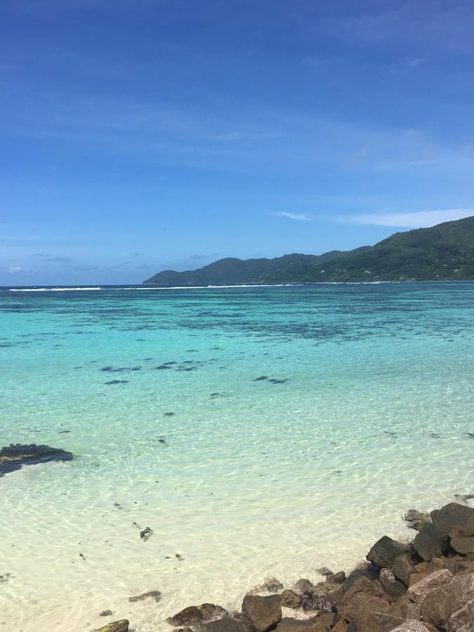 Shanaz Beachside Retreat Anse Royale Exterior photo