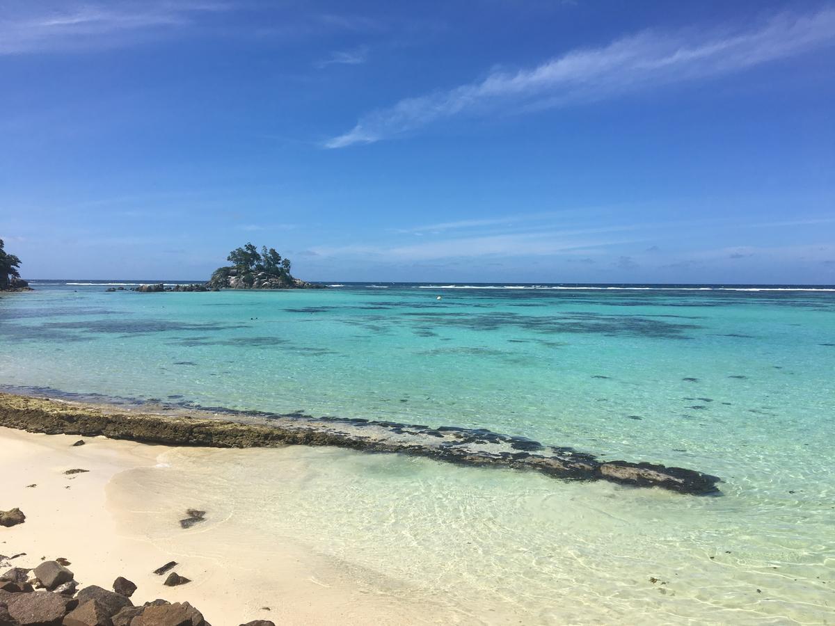 Shanaz Beachside Retreat Anse Royale Exterior photo